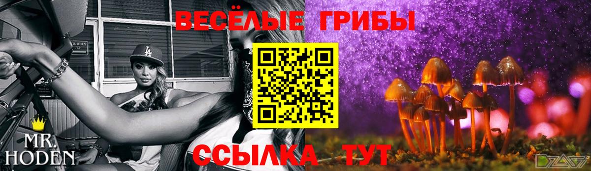 Тихорецк  Псилоцибиновые грибы Psilocybe  Галлюциногенные грибы MAGIC MUSHROOMS  Вход с VPN 