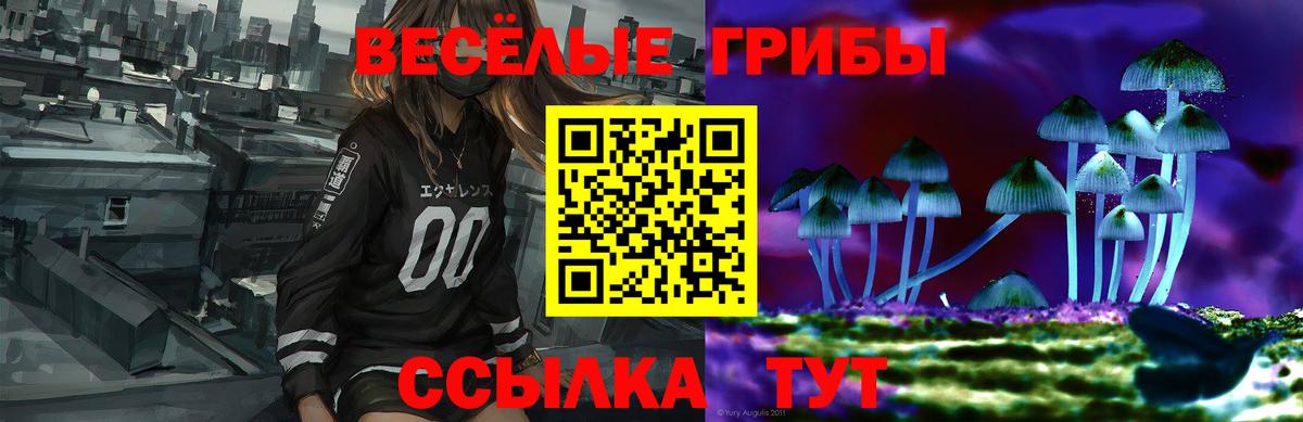Галлюциногенные грибы Magic Shrooms Тихорецк